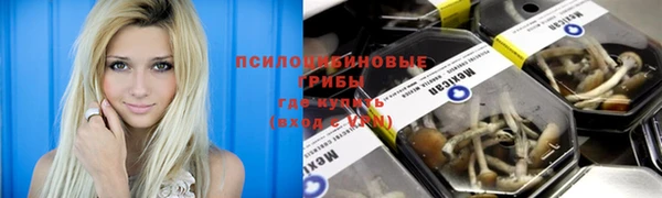 MESCALINE Лихославль