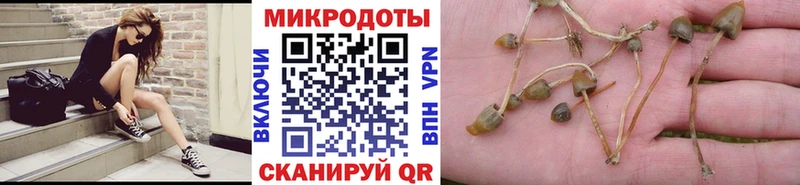 Псилоцибиновые грибы мухоморы  МЕГА зеркало  мориарти какой сайт  Пласт 